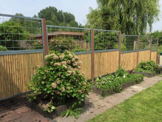 Bamboo Gates